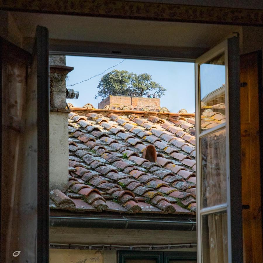 Casa Anna Διαμέρισμα Λούκα Εξωτερικό φωτογραφία